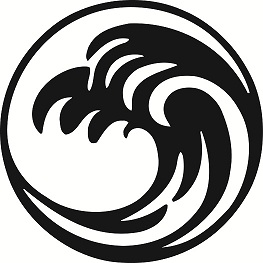 The Story Behind Our Logo & Branding | Pacific Wave Jiu-jitsu